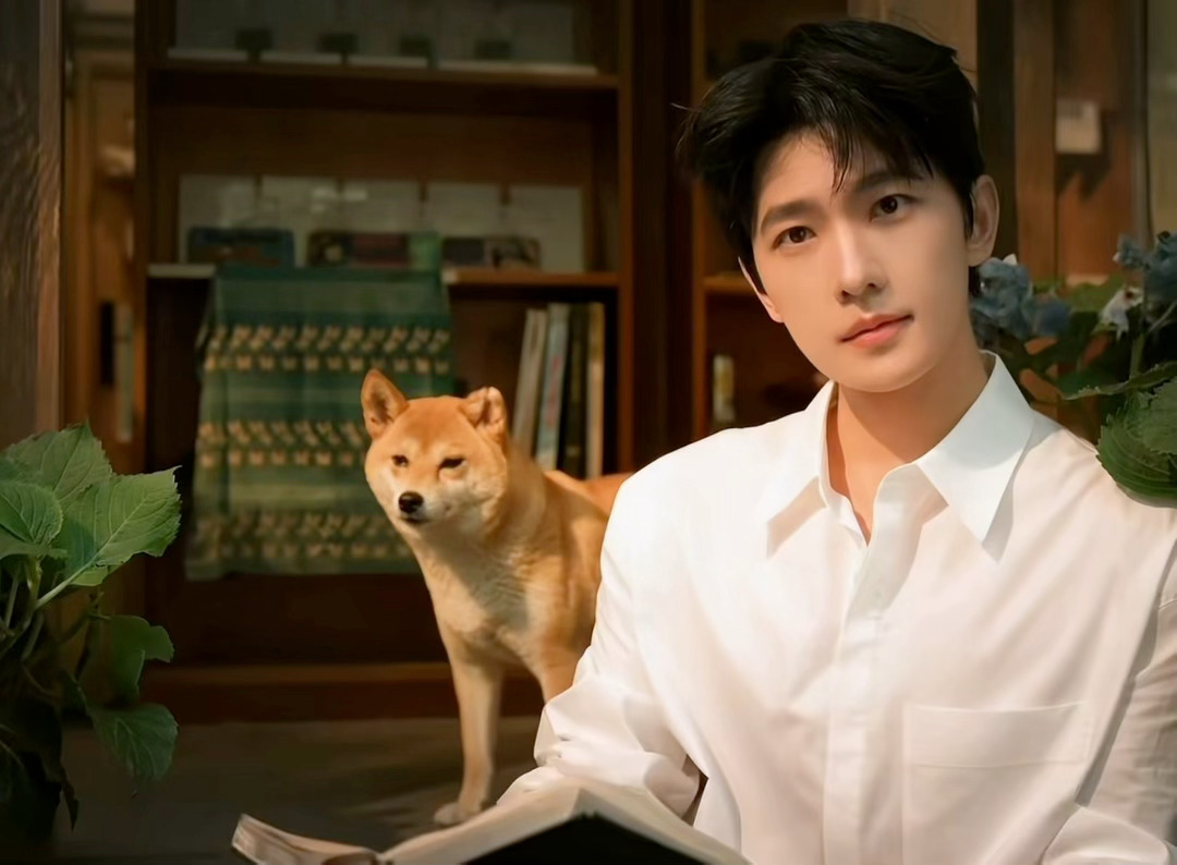 杨洋暗恋文学男主 如果是杨洋，我将明恋