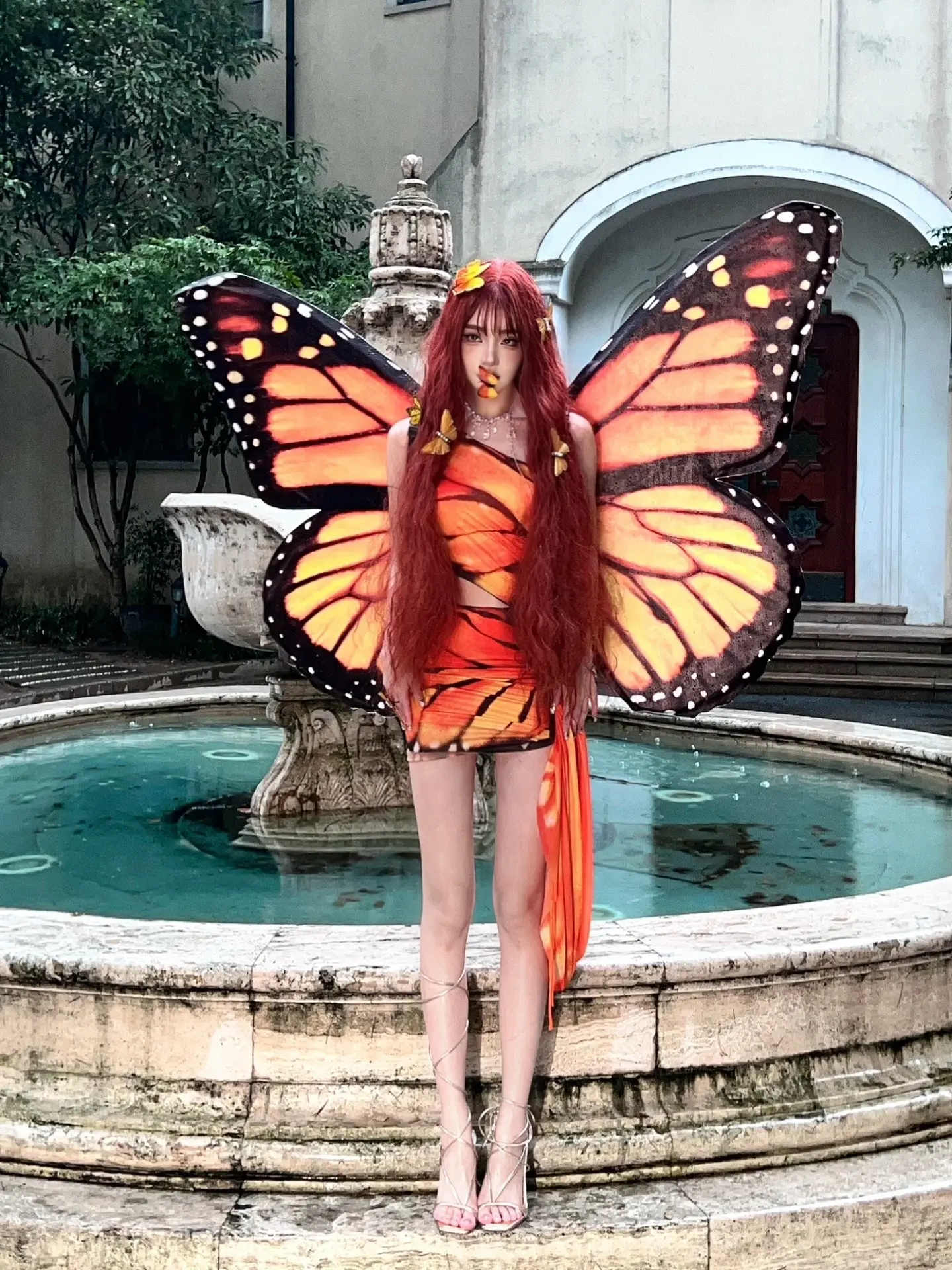 夜里有腐烂的梦🦋