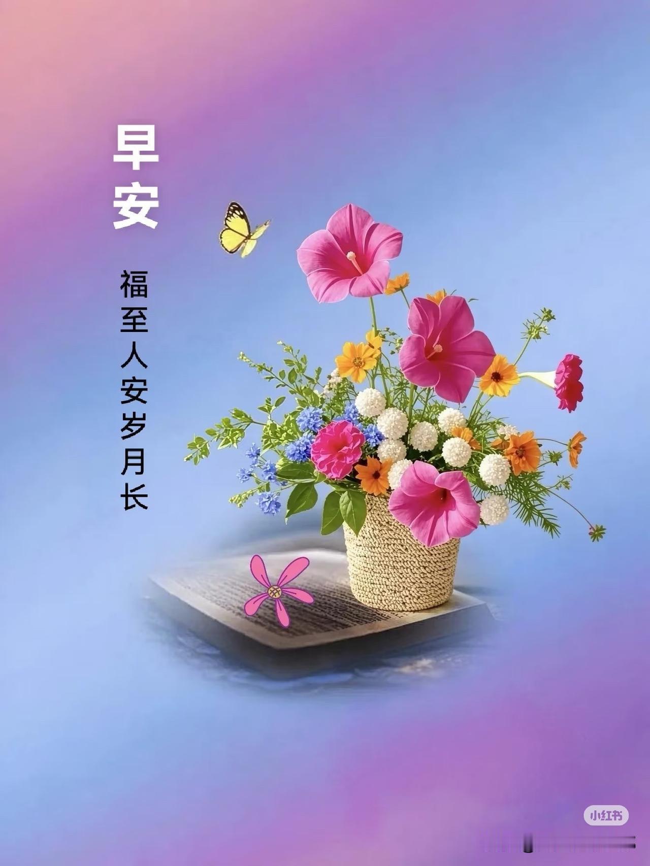 早晨好，鲜花和蝴蝶带来美好心情。