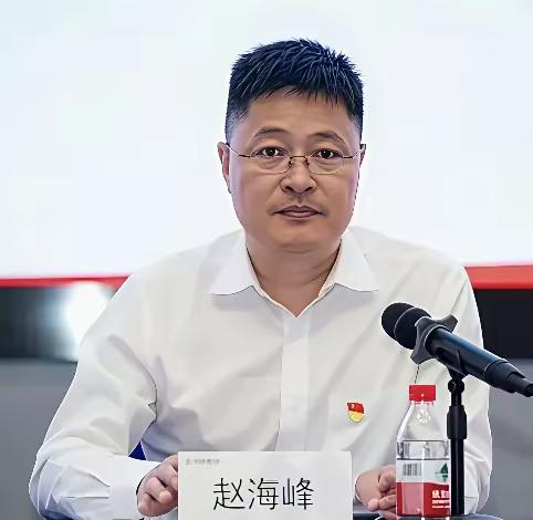 看80年出生的赵海峰个人履历，上学时是学霸：高考启东状元，清华大学毕业；职场上是