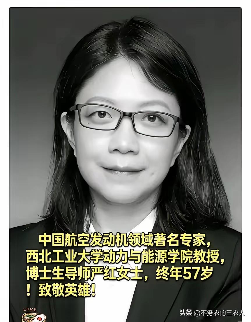 无需拉踩！严红与张雪峰，皆是照亮时代的光芒
当张雪峰骤然离世的消息在全网刷屏之际