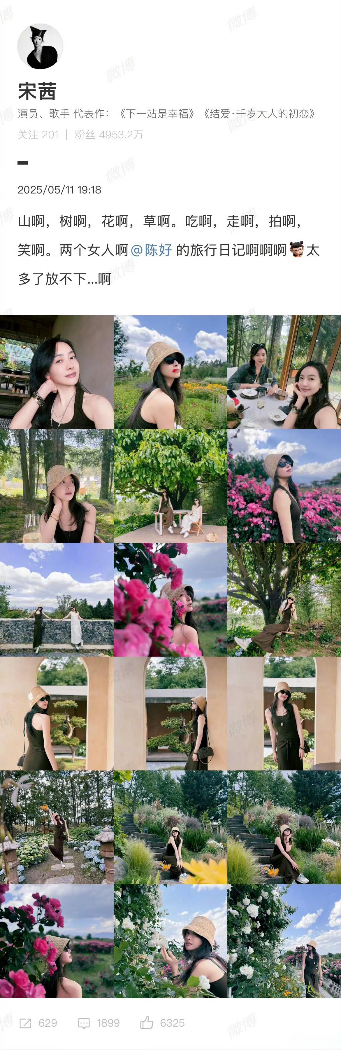 宋茜陈好旅行照太多了 宋茜与陈好的旅行照疯狂输出，每一张都好美，让人看到闺蜜出游