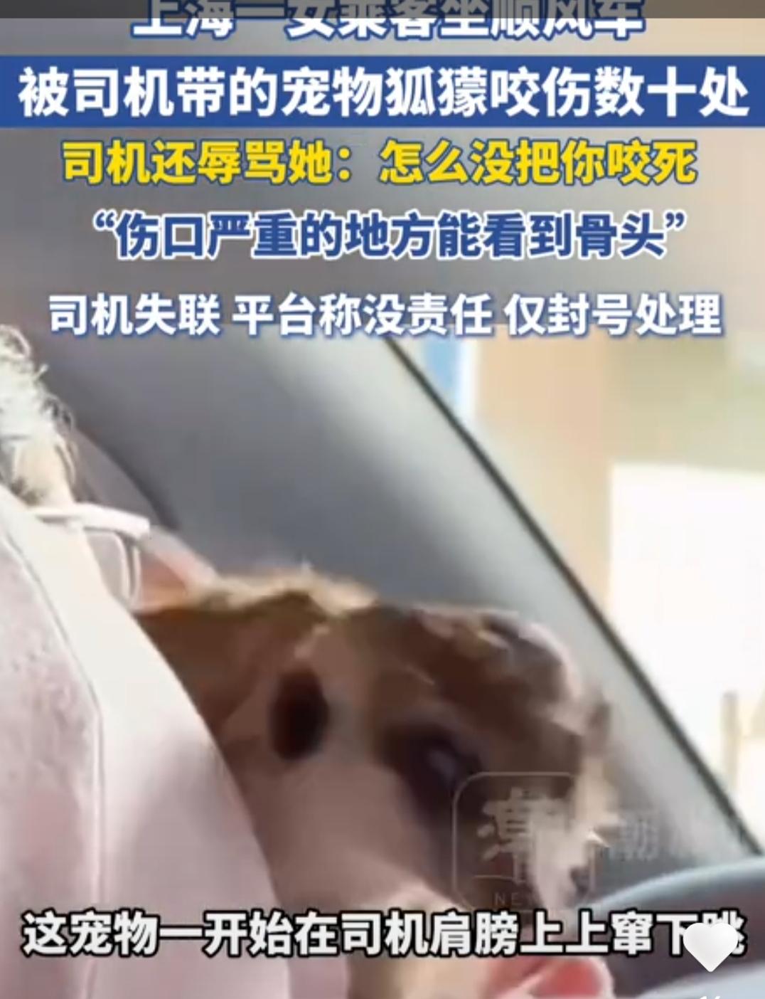 上海一女子坐顺风车，被司机带的宠物狐獴咬伤数十处，司机还辱骂她:怎么没把你咬死？