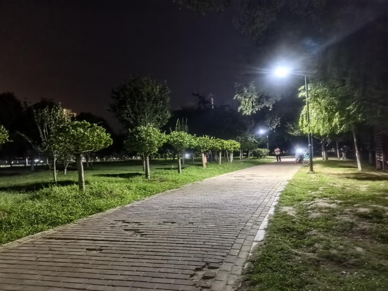 我们街坊有一个奇怪的回民小孩。要说小孩也不小了，他已经有20多了，可是他的智商，