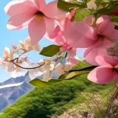 🌿春暖花开🌵奔你而来🍃「今日野餐文案：开心」 