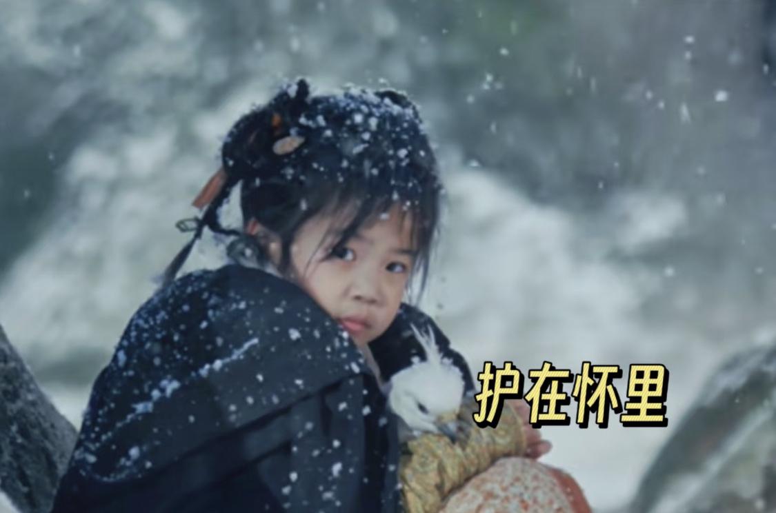 隼隼后来胖的飞不动了，谢征天天半夜给隼隼加训减肥。

长宁把隼隼味得很好，每吨都