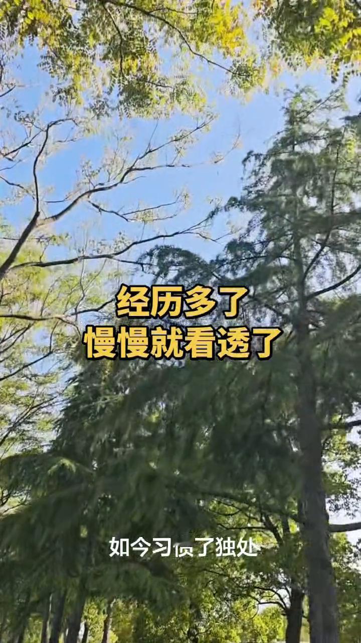经历多了慢慢就看透了。
我在反复思考，原来经历多了心态真的变了。曾经那个叽叽喳喳