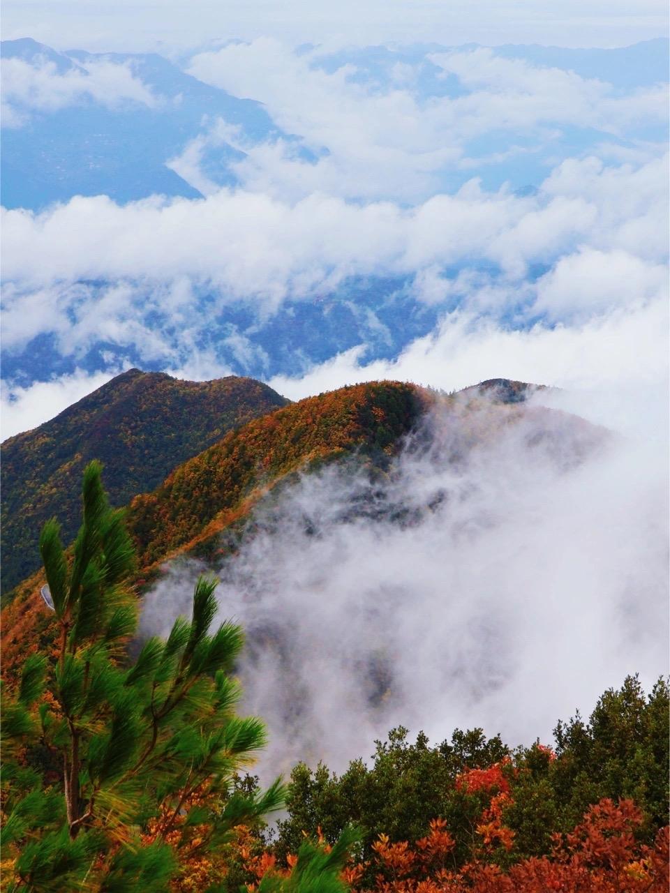 送我入门来 · 英世尧年

英世尧年，乾坤亘古，神州崛起之时。绿水青山，逝水破春