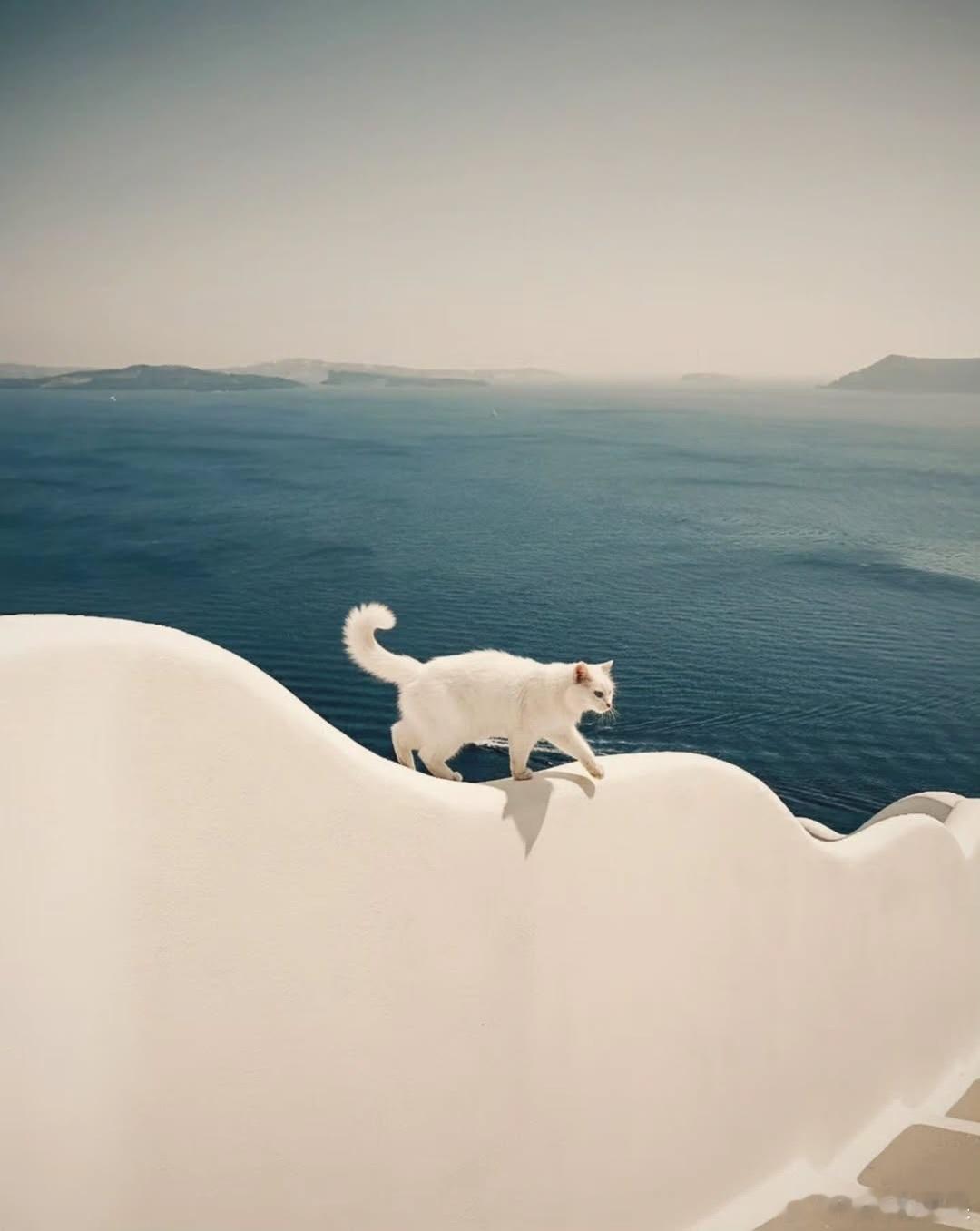 🤍🌊cr：bill_box 