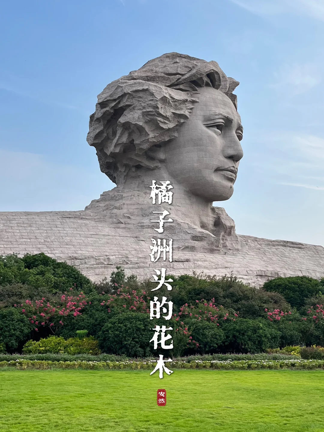 随拍｜那些我拍的橘子洲头的花花草草