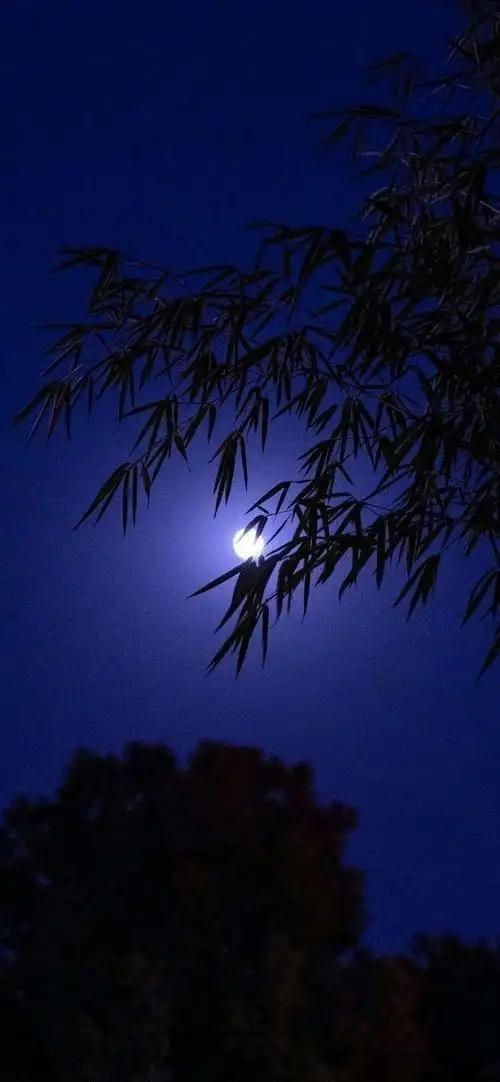 下联：意静能无明月随

赏析：上联“心宽自有清风伴”写心胸开阔则自然清风相随，体