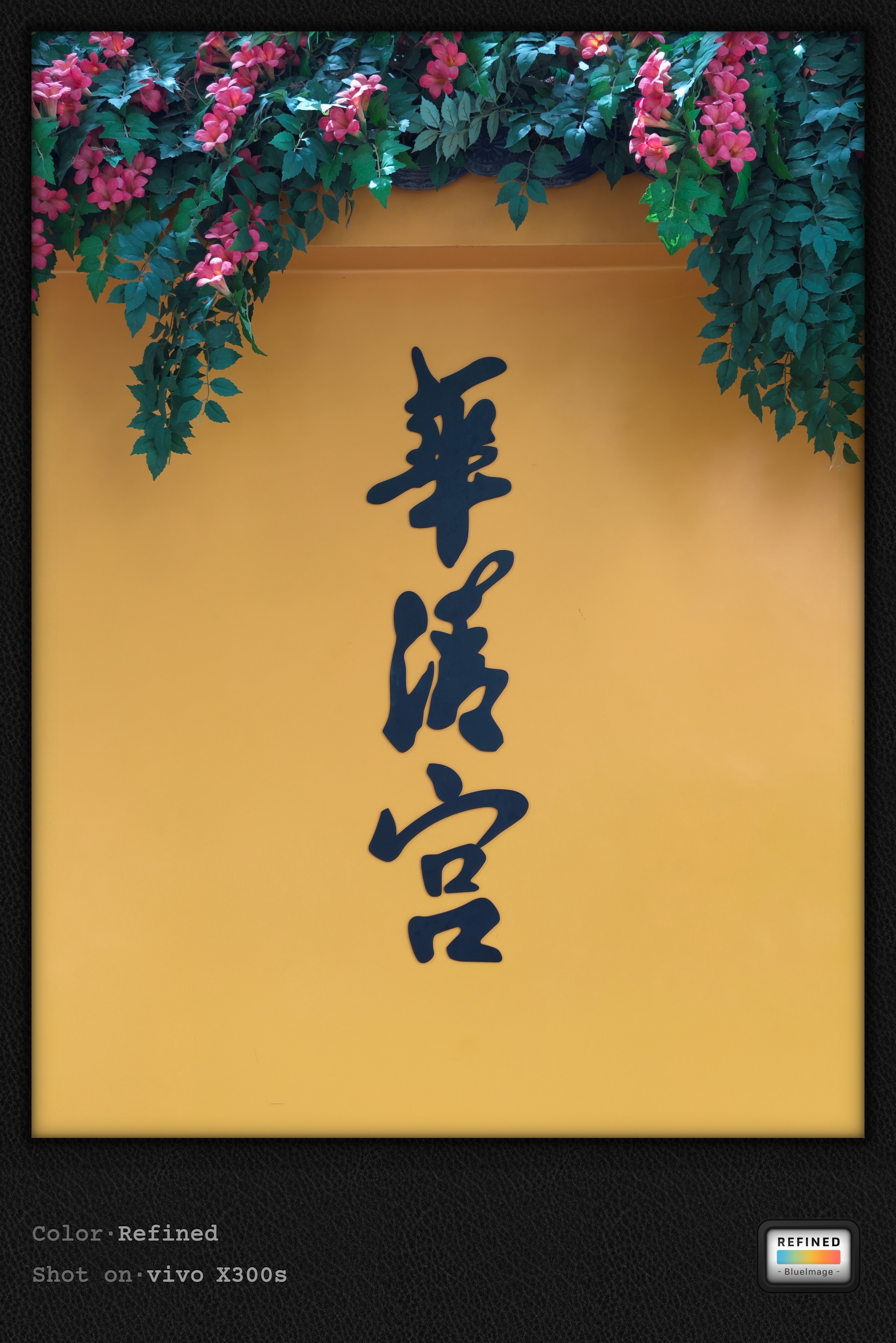 今天趁天气不热，华清池转了一圈，皇家汤峪园林果然不一般，看完感慨大家真会享受