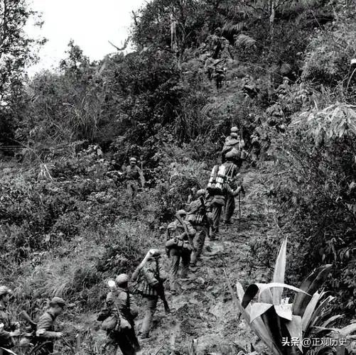 对越反击战中的121师：前期屡遭越军暗算，后期打得越军尸横遍野
 
121师是广