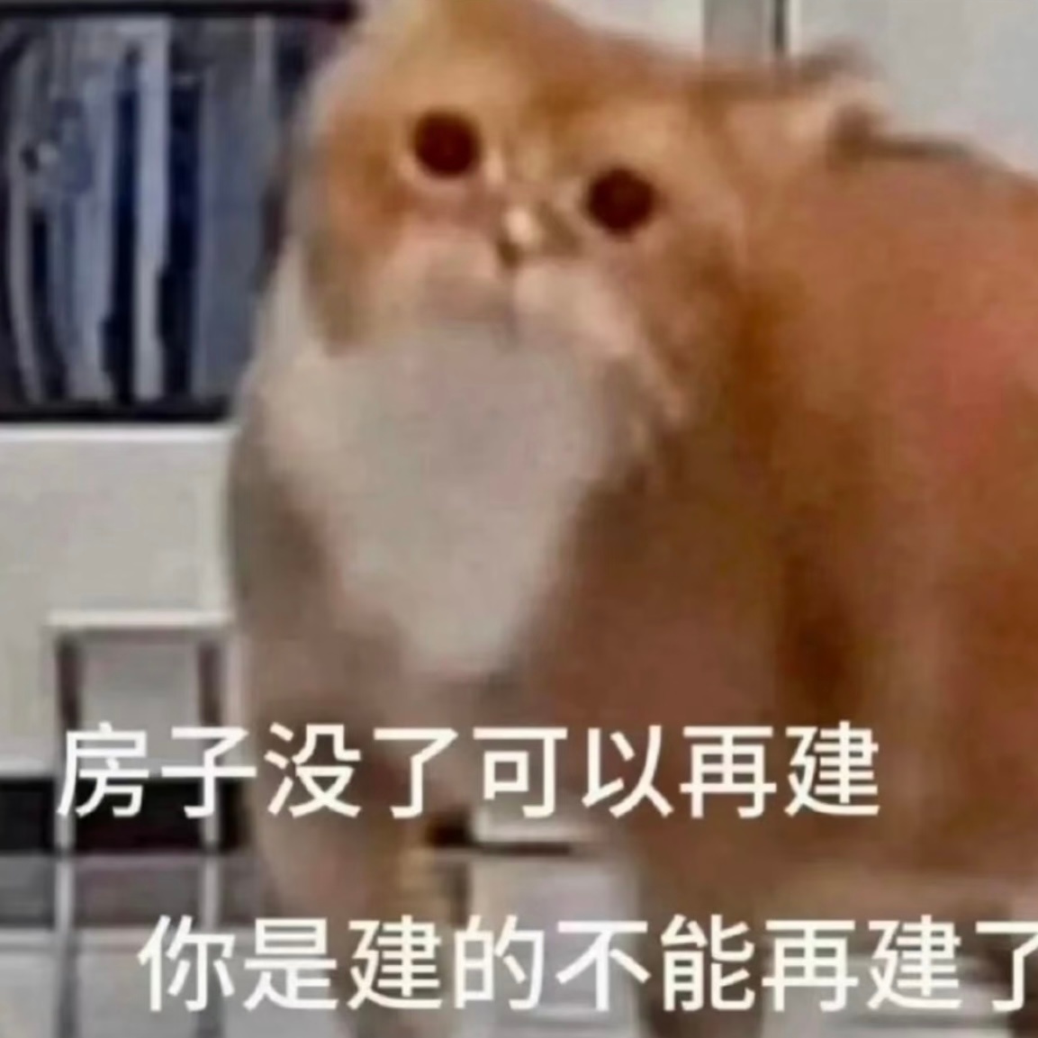 很多路人现在都幡然醒悟了鱼头死命捆绑的事实…黄金左脸也好，夹子音也好，内核也好，