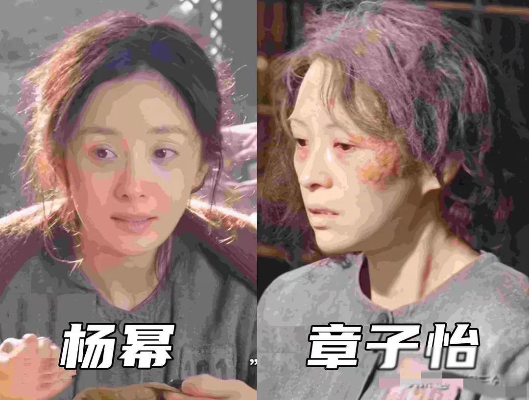 为了艺术，为了《酱园弄》杨幂章子怡付出太多，不顾自己的形象，甚至发型，衣服，面目