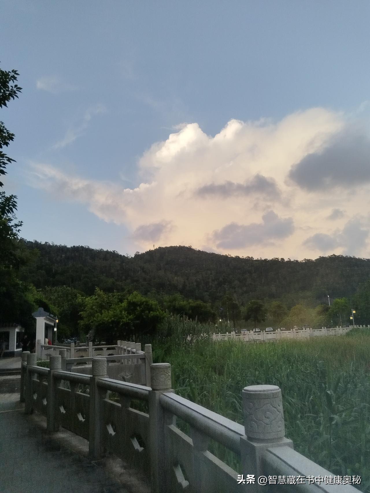 清晨六点半，闹钟响起，你从被窝里缓缓坐起。窗外天色微亮，鸟鸣稀疏。你走到厨房，煮
