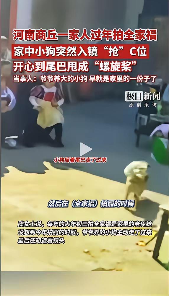 “主角总是最后一个登场的！”近日，河南商丘，一家人在拍摄全家福的时候，爷爷养的小