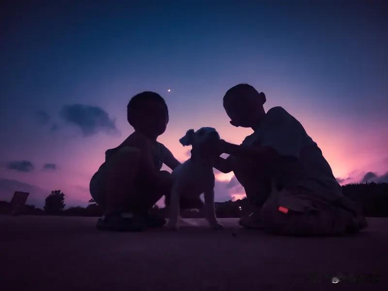 又一位朋友说，打算退出头条不写了。
放半年前，听到这话我还会感觉不是滋味的。
现