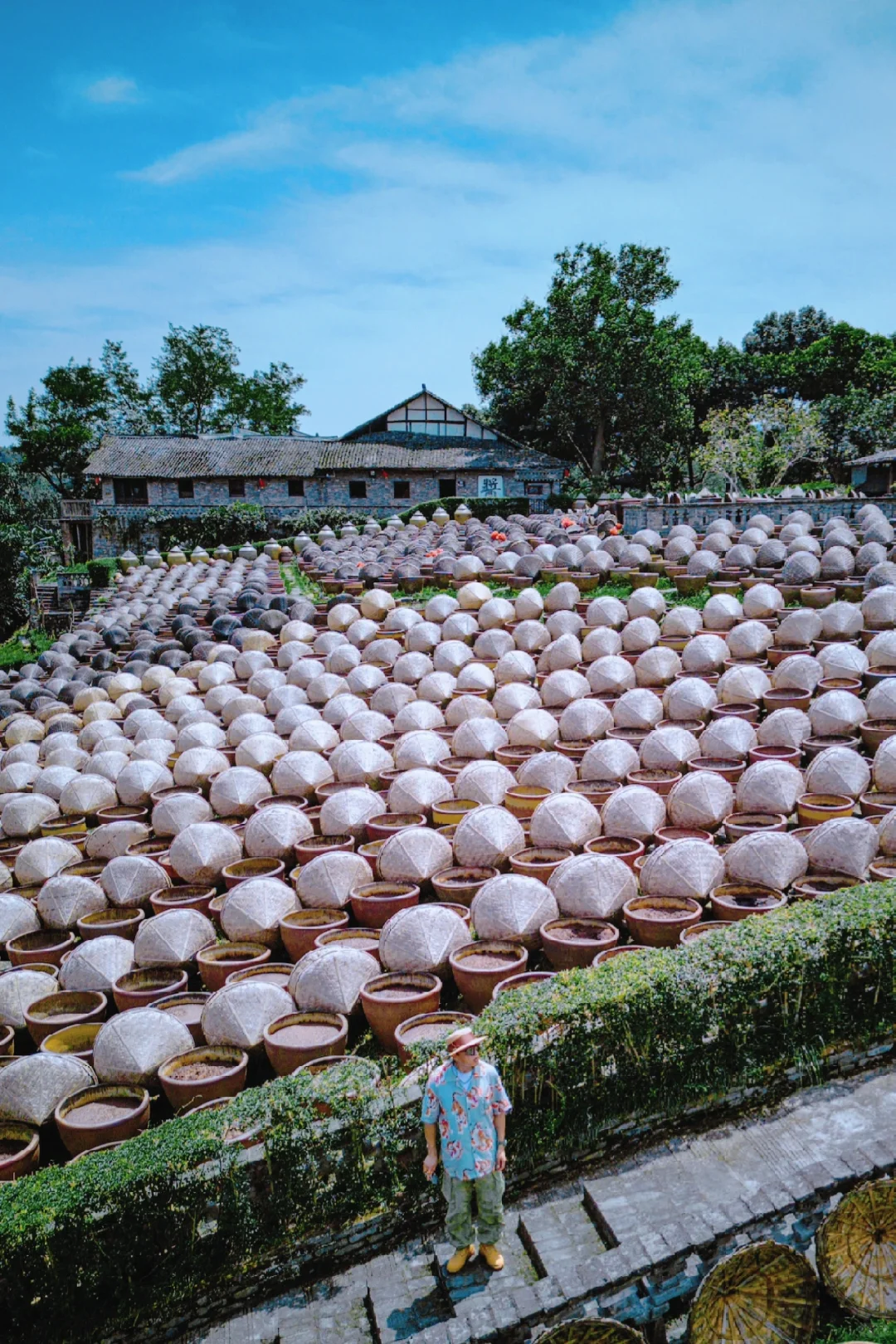 想不到啊，一个酱油厂成了网红打卡点🌈❤️