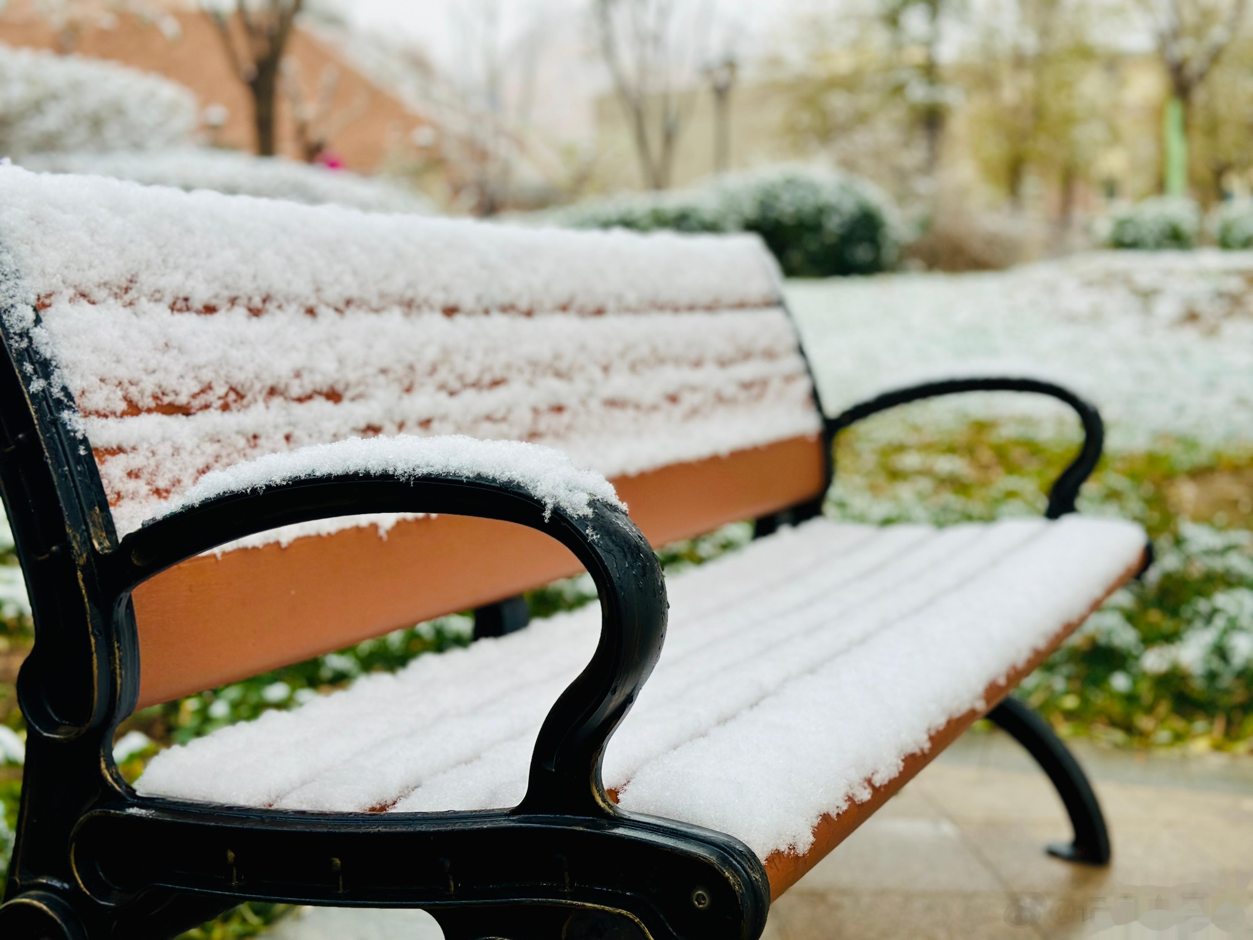 庭空月无影，梦暖雪生香。好梦~~~ ​​​