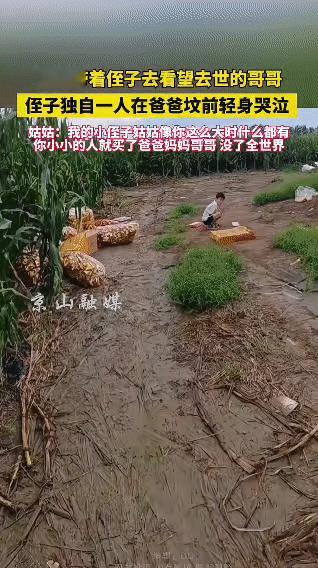 姑姑带着侄子去看望去世的哥哥。到了地方，侄子独自一人在爸爸坟前，之后轻声哭泣起来
