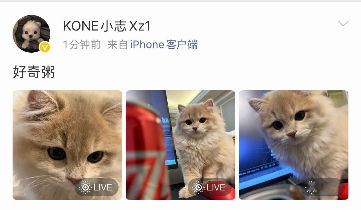 和平精英职业联赛  粥粥这个萌！！！🥺🥺🥺2026pel夏季赛2026pe