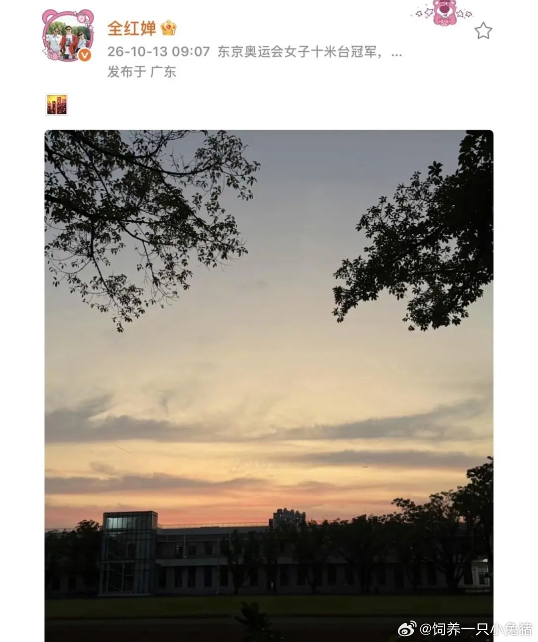 全红婵已回归跳水队？晒图回应争议，天还没亮就起床训练超努力 ​​​