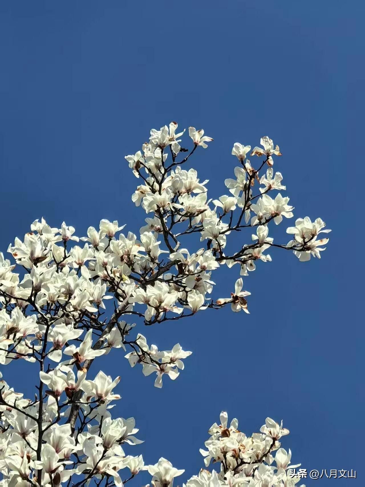 咱们普通人想多赚钱，真不是缺力气、缺机会，大多数时候都是忙得团团转，却越忙越迷茫