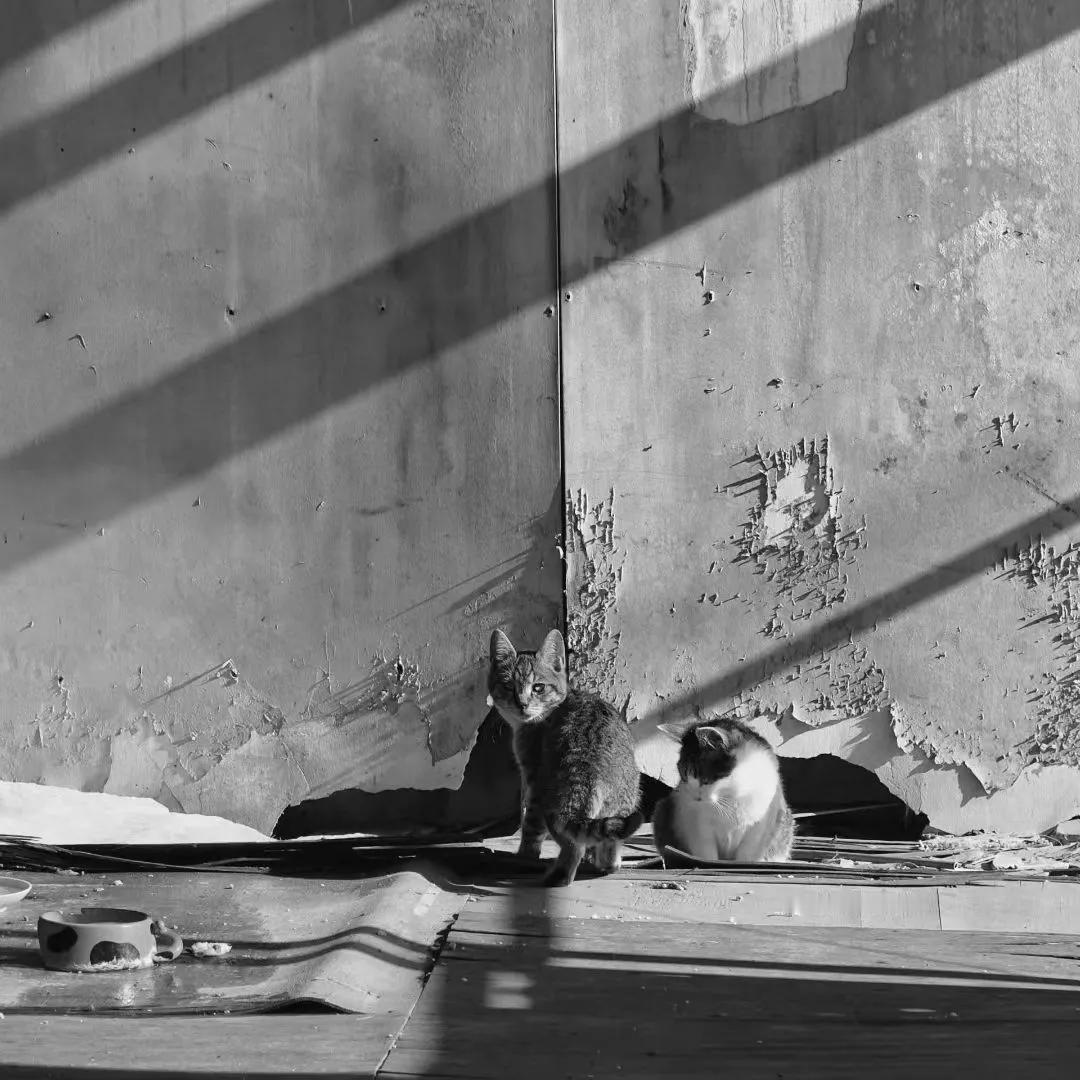 从多满别机场到了一个叫Kawayu的地方，应该是乡下了。（朱悦Michael苏垦