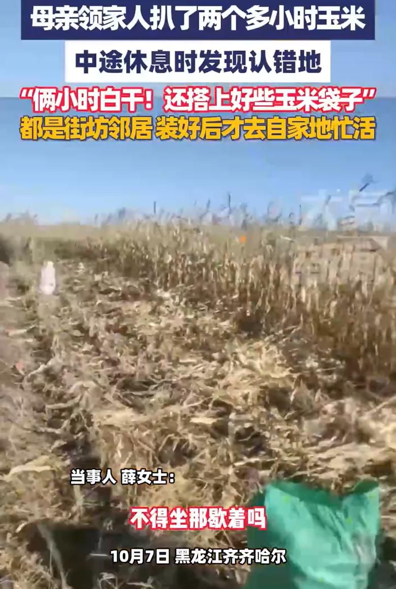 黑龙江齐齐哈尔，一家人假期到地里去掰玉米，干了整整两个多小时，可中间休息时，突然