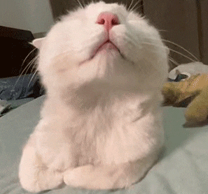 功能性能全面升级，颜值也在线，价格还很亲民，这样的焕新车型很难让人不心动啊 首台