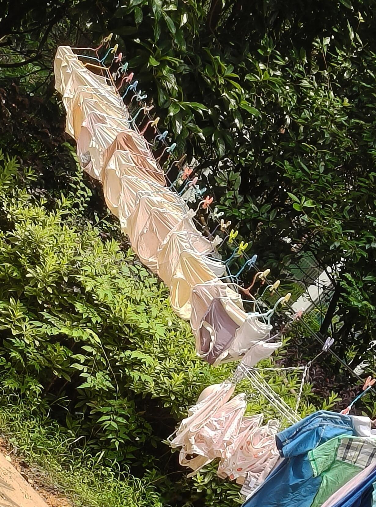 还真有这种人！以前听别人讲某某某内裤要攒一堆才洗，简直不敢相信，今天算是见识到了