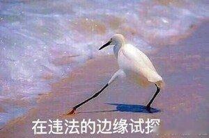 当间谍线人后怕暴露辞职考公难道这就是工作的尽头就是考公？就连间谍都这样想的？幸亏