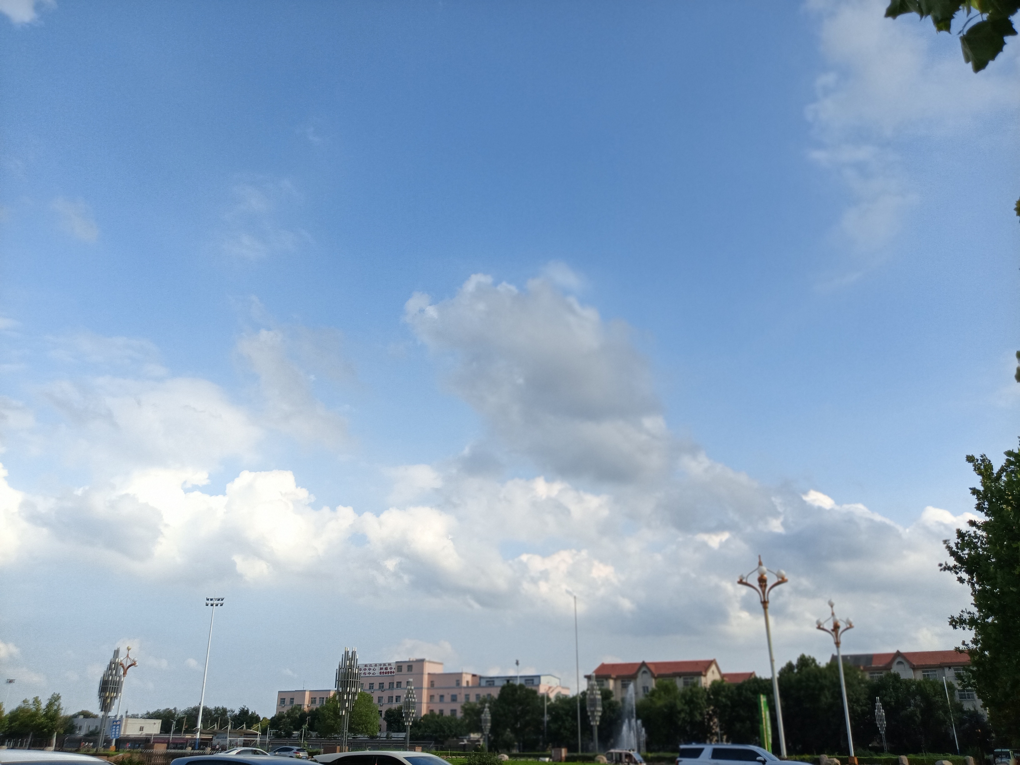 夏天就要晒镜头