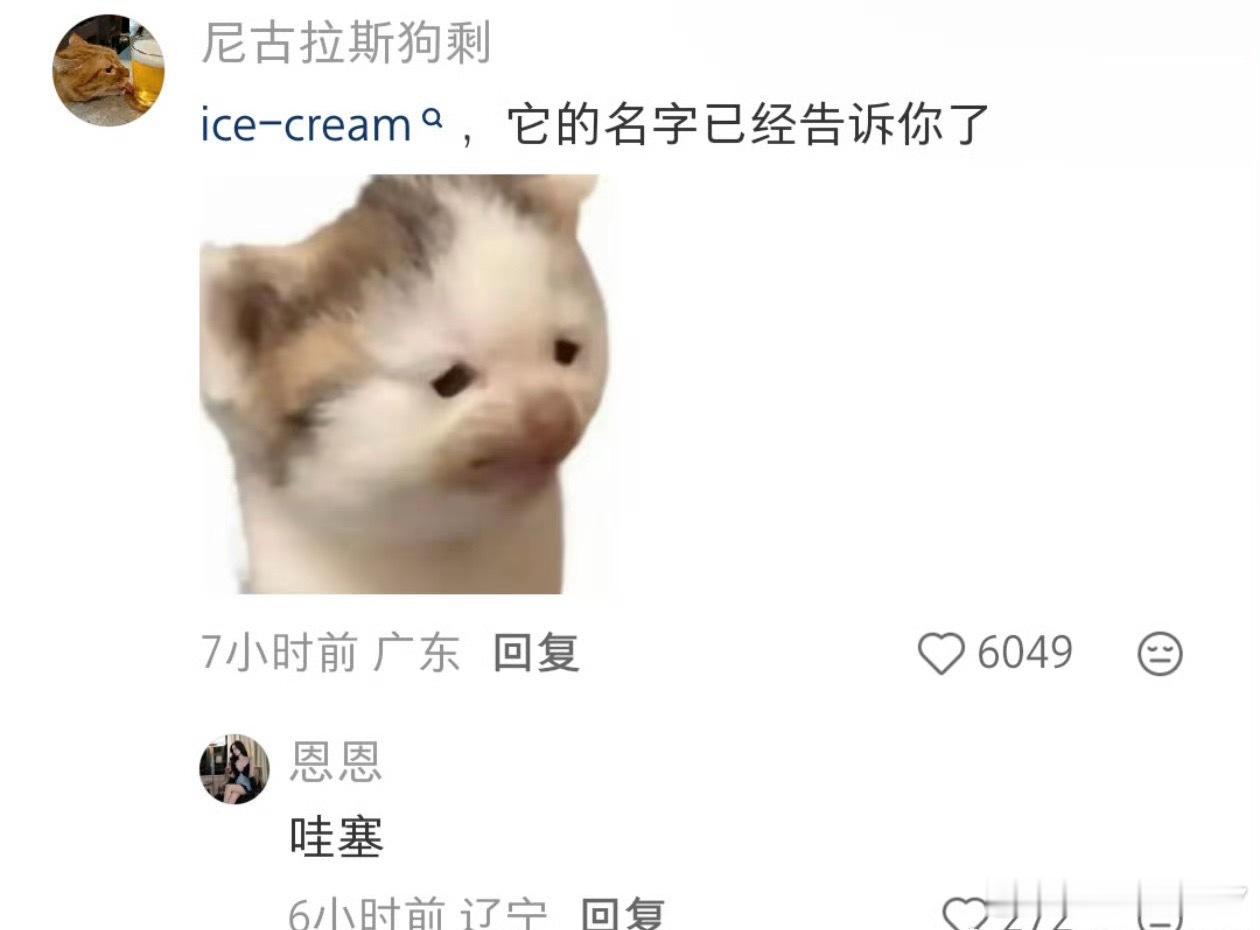 谁骗我说雪糕那么凉肯定没有热量来着？？雪糕是糖油混合物具象化了仔细一想还真没毛病