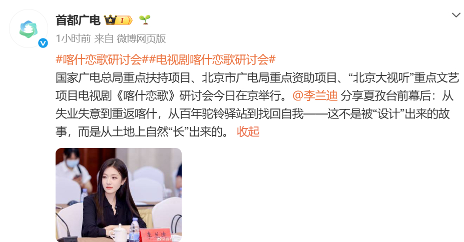 《喀什恋歌》研讨会上的李兰迪美的好高智好大气，高干文适配度很高了 