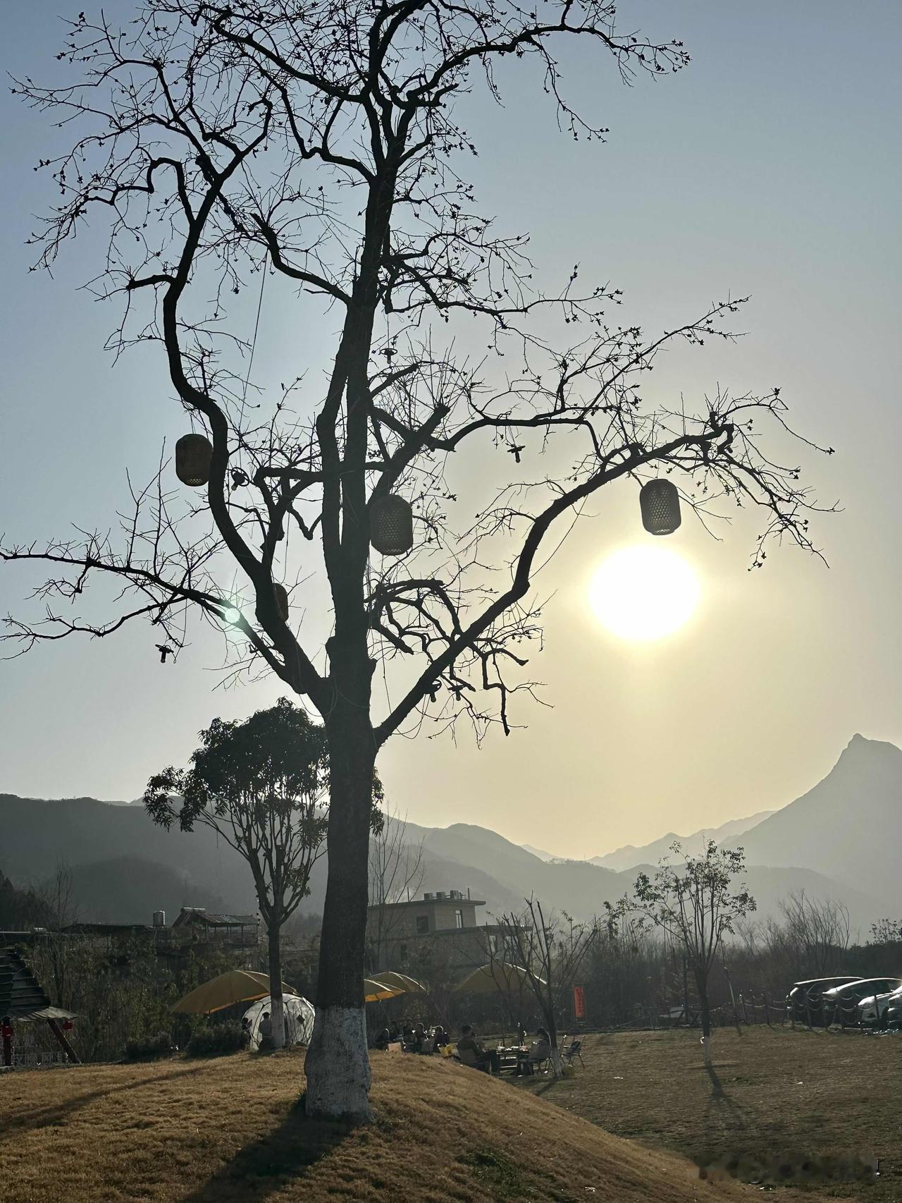 节日打卡“日暮尘想小院，静享自然时光”🌿🍃