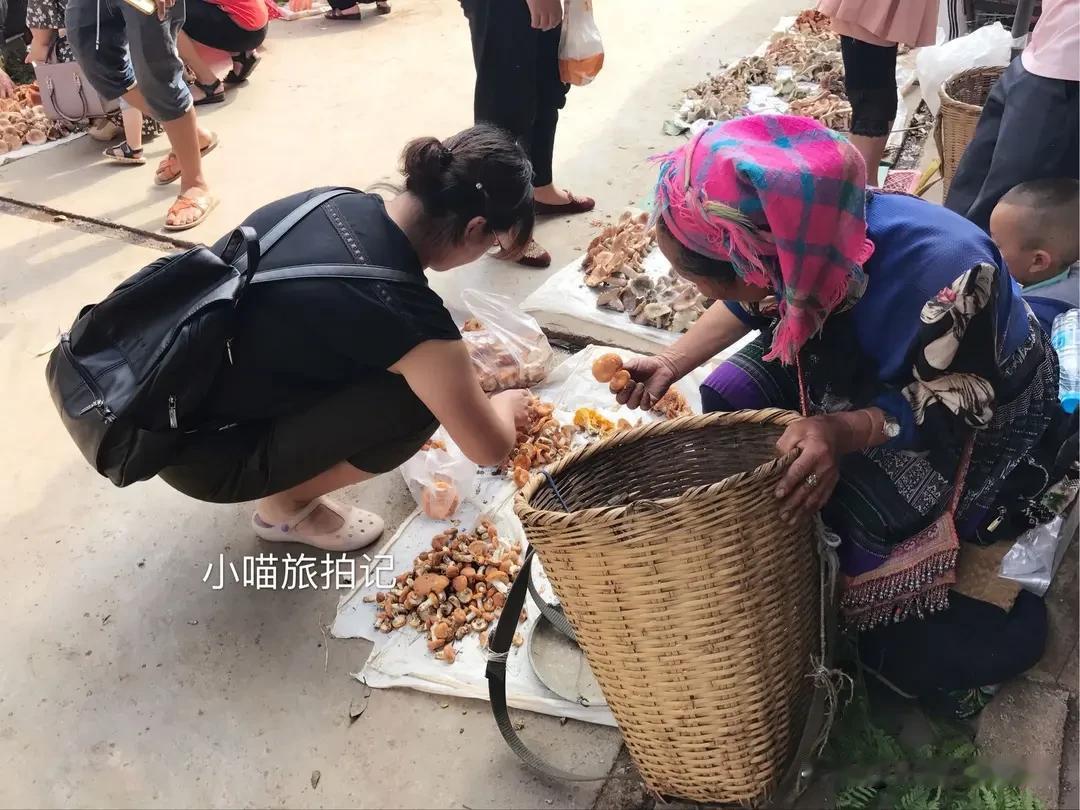 资深医师连年误食毒菌，舌尖贪鲜的教训值得所有人引以为戒
 
云南雨季山林孕育层出