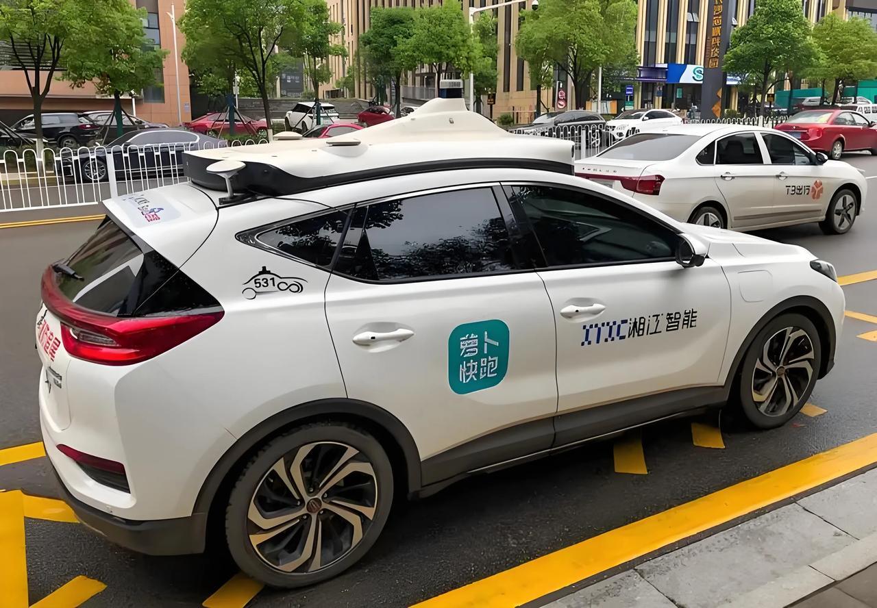 二婶投资200台萝卜电动车赚啦！新型萝卜电动车很火二婶投资200台迷你电动萝卜车