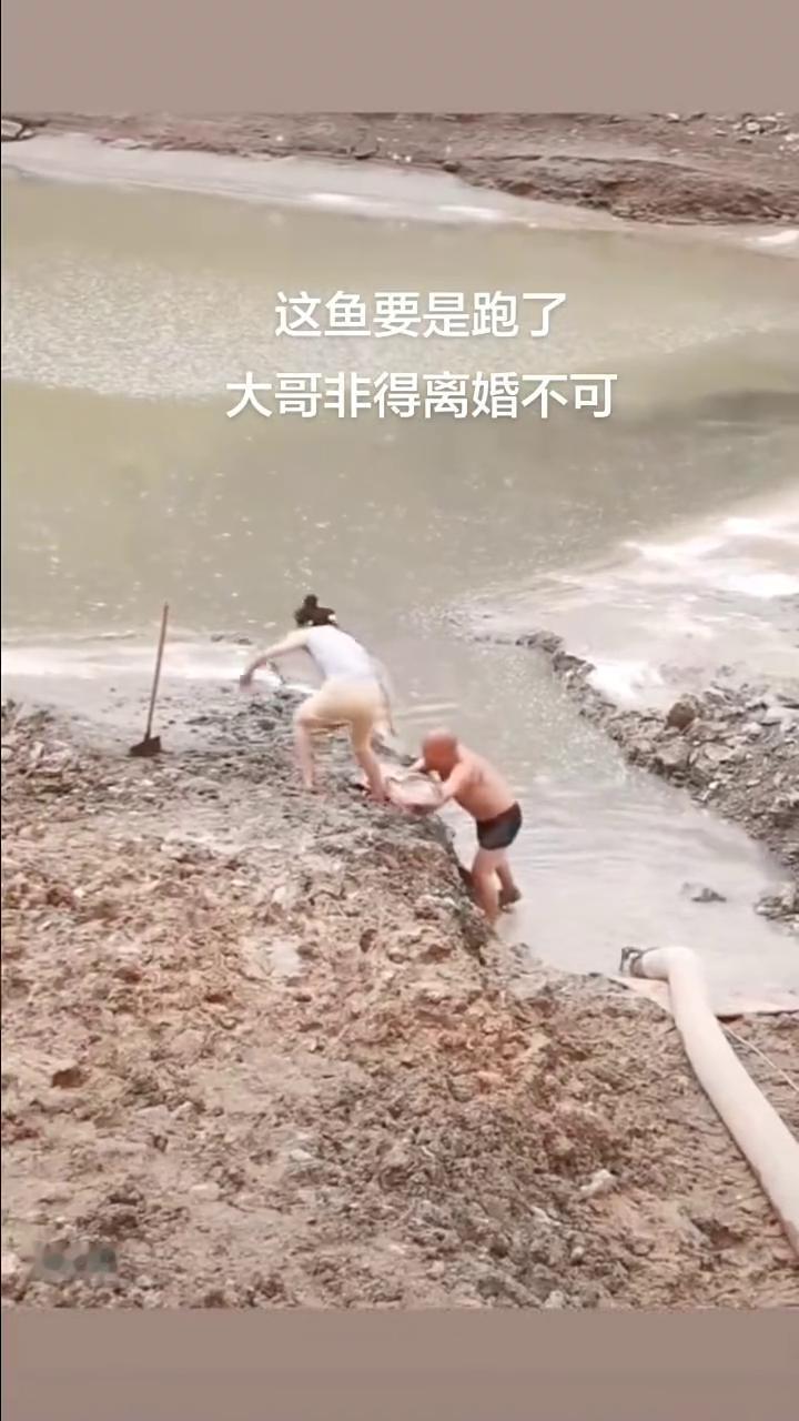 这鱼要是跑了，大哥非得离婚不可。
人生。