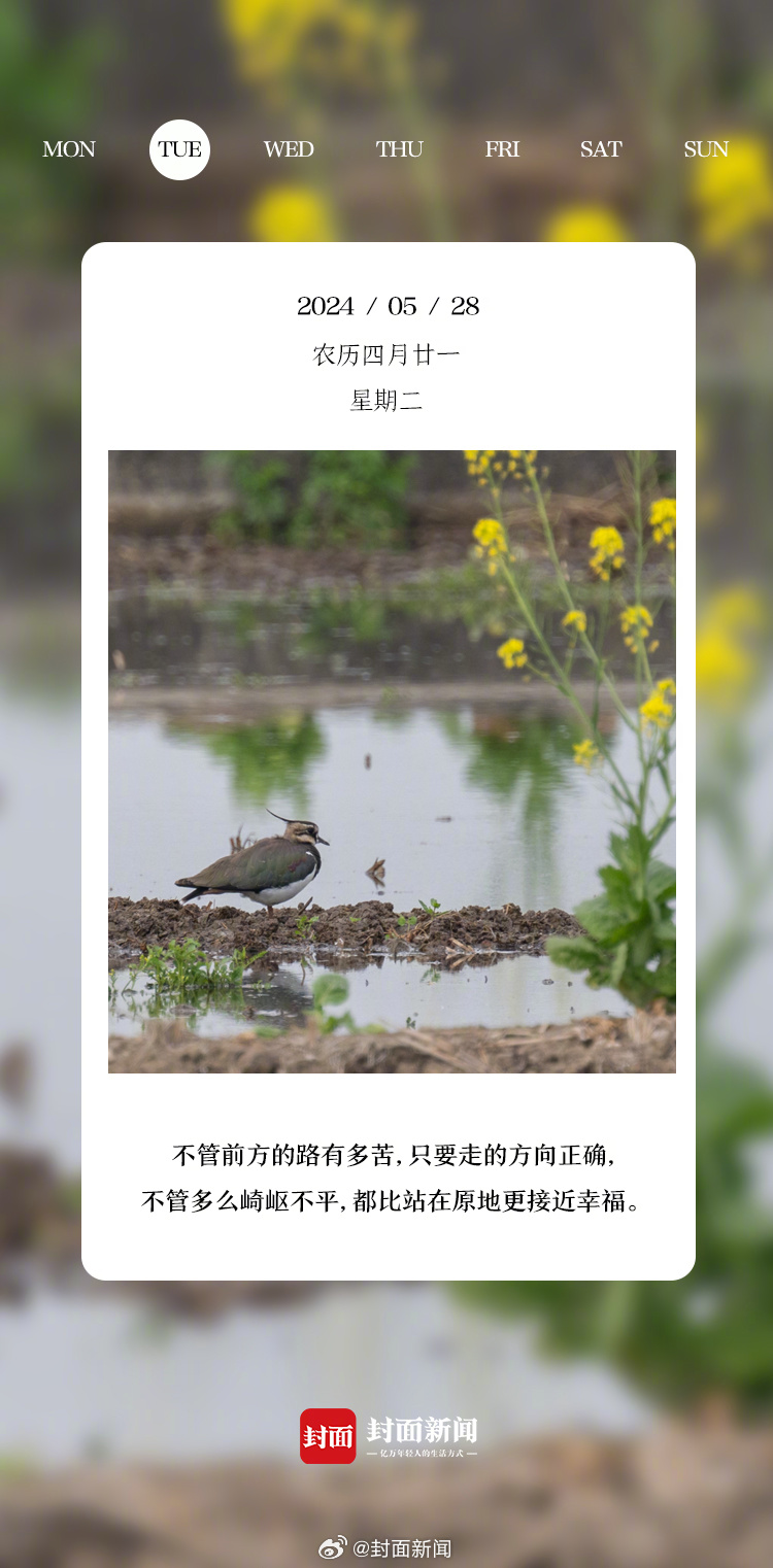 #小封日历# 早安，周二啦！今天叫醒你的是_____？[哈哈] ​​​