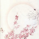 杨泽说说娱乐