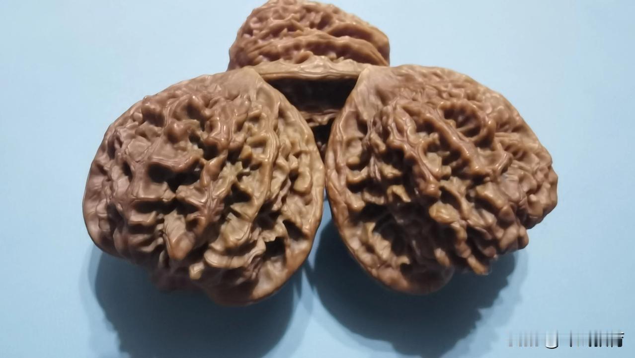 第四次第七天，变化不大，开始有一些光泽。