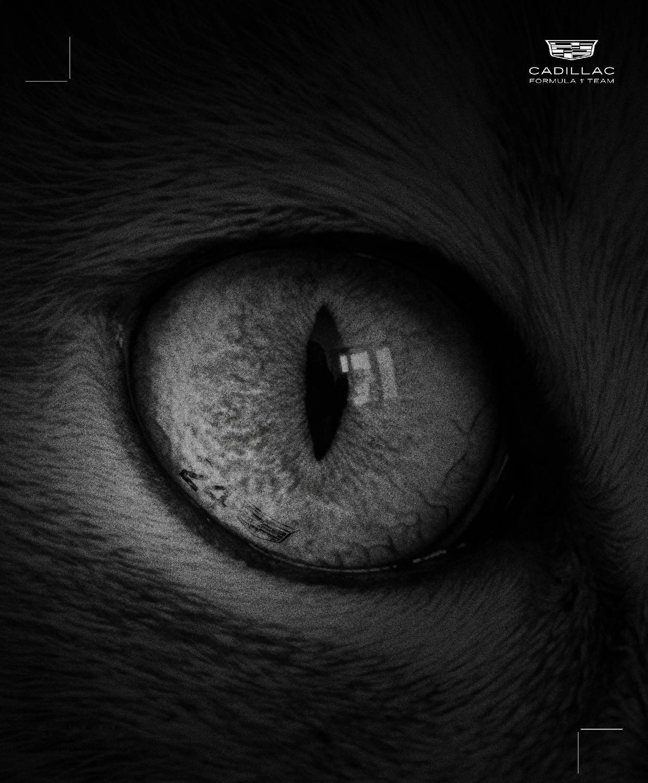 周冠宇加盟凯迪拉克F1车队，成为凯迪拉克的储备车手！
凯迪拉克突然向外界公布了一