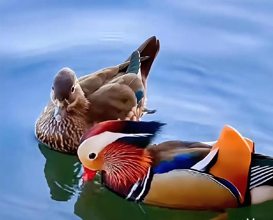 在纷繁世界里，想让心灵栖息并不容易。年轻时热衷社交，以为融入热闹就能拥抱幸福，可