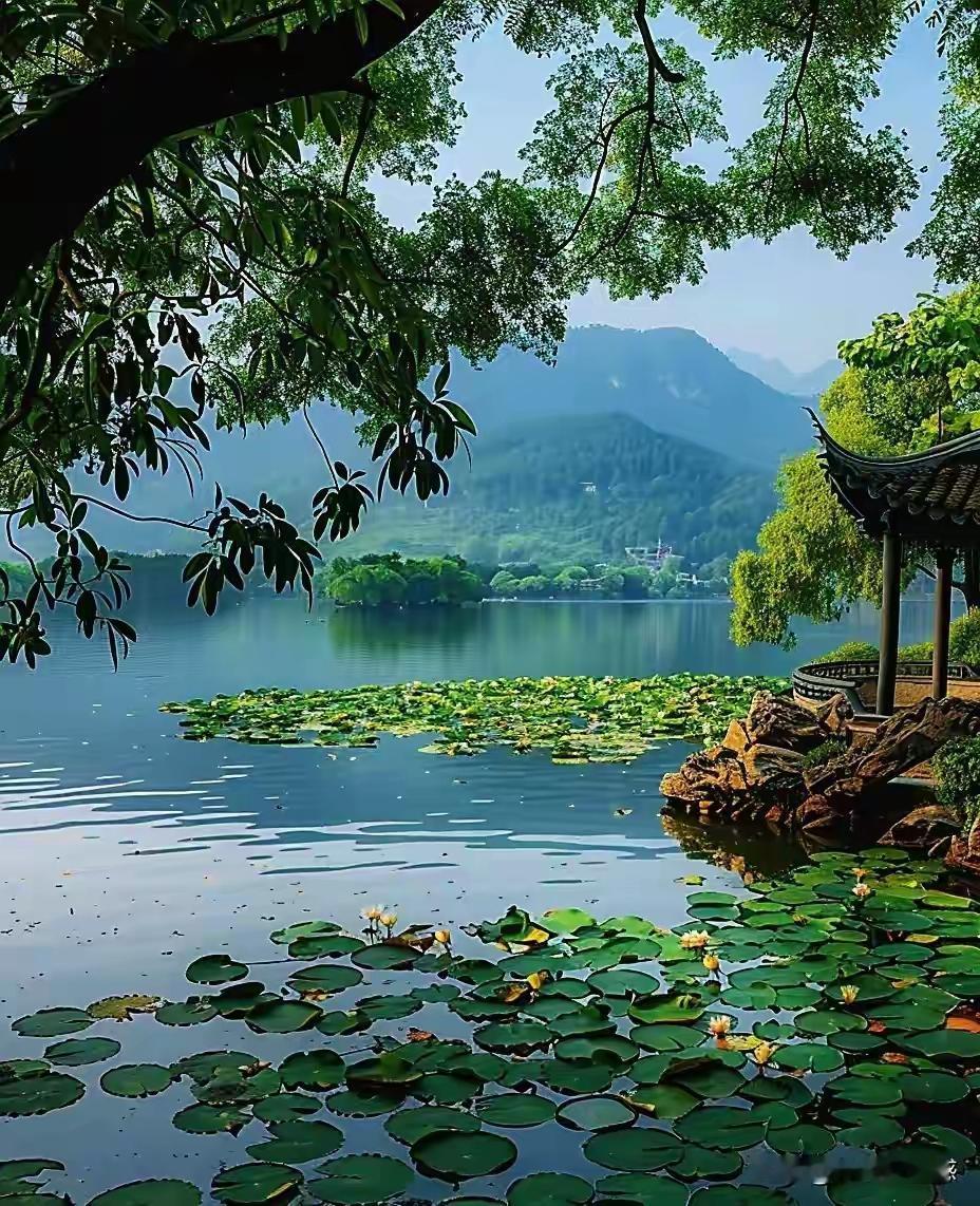 在这个快节奏的时代，繁忙的生活像一条奔腾不息的江河，令人目不暇接，却也容易迷失方