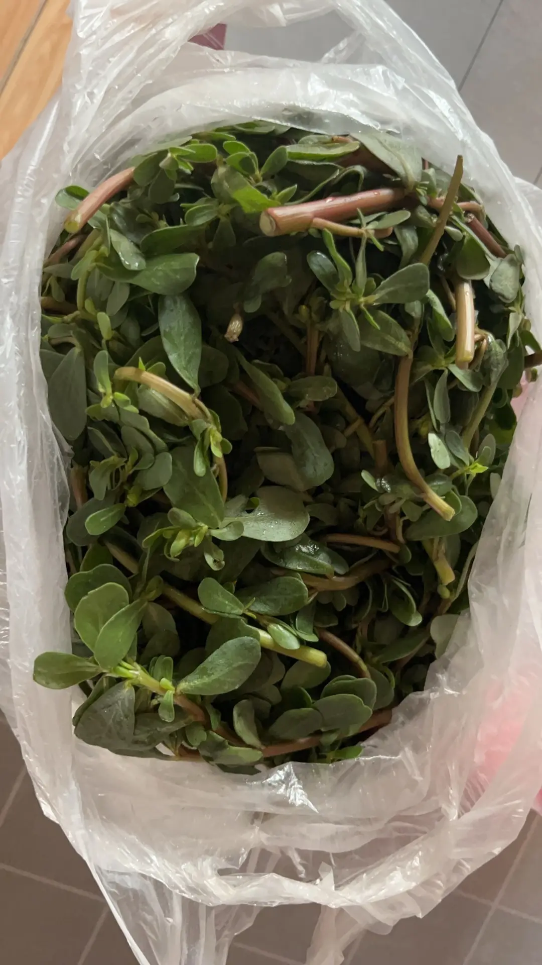 爸爸的爱永远在