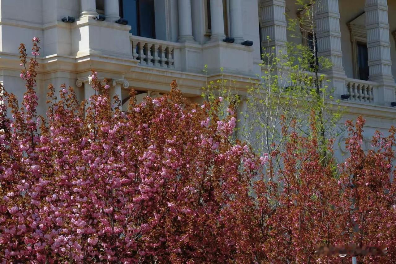 大连的水上威尼斯城有空值得去看看，房子都是按欧洲威尼斯样式仿造的，在水道里还有与