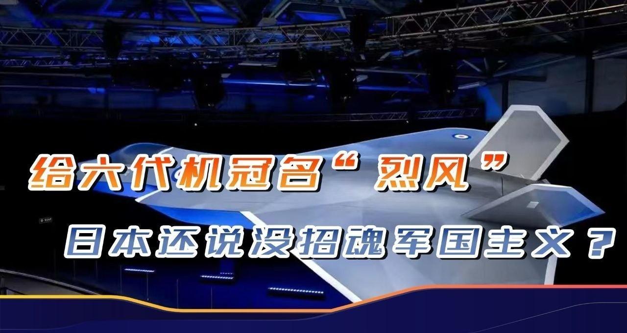 我看还是叫“神风”吧，二战中全灭那个航空中队[我想静静]还说没为军国主义招魂，日