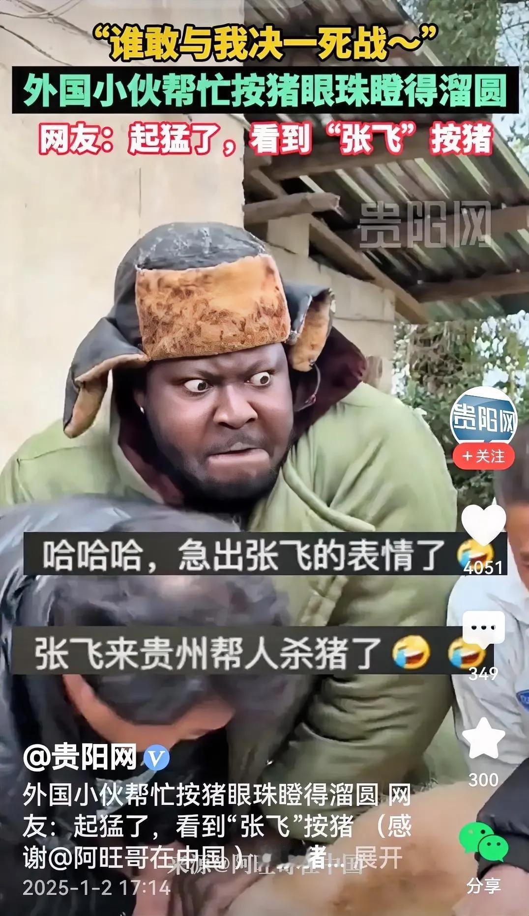 帮帮忙吃血肠。
视频里的外国小伙帮忙杀猪，或许急着吃血肠，或许被二师兄气的憋着一